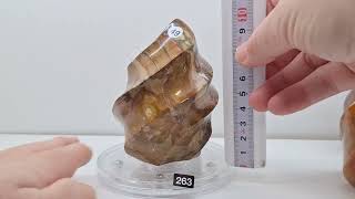petrified wood twisted flame