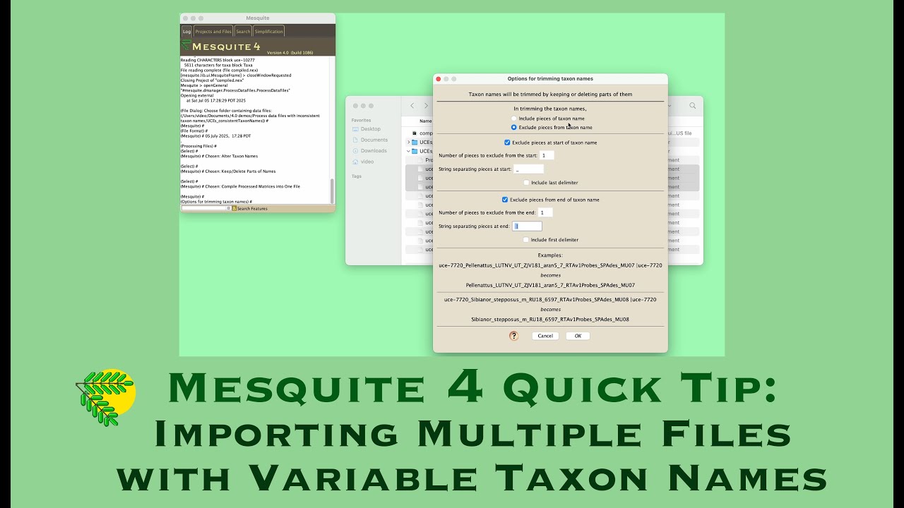 Processing of locus-by-locus files with inconsistent taxon names in Mesquite 4