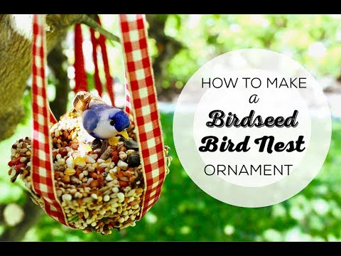 How To Make a Birdseed Bird Nest Ornament
