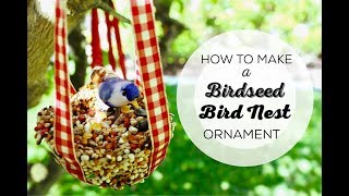 How To Make a Birdseed Bird Nest Ornament