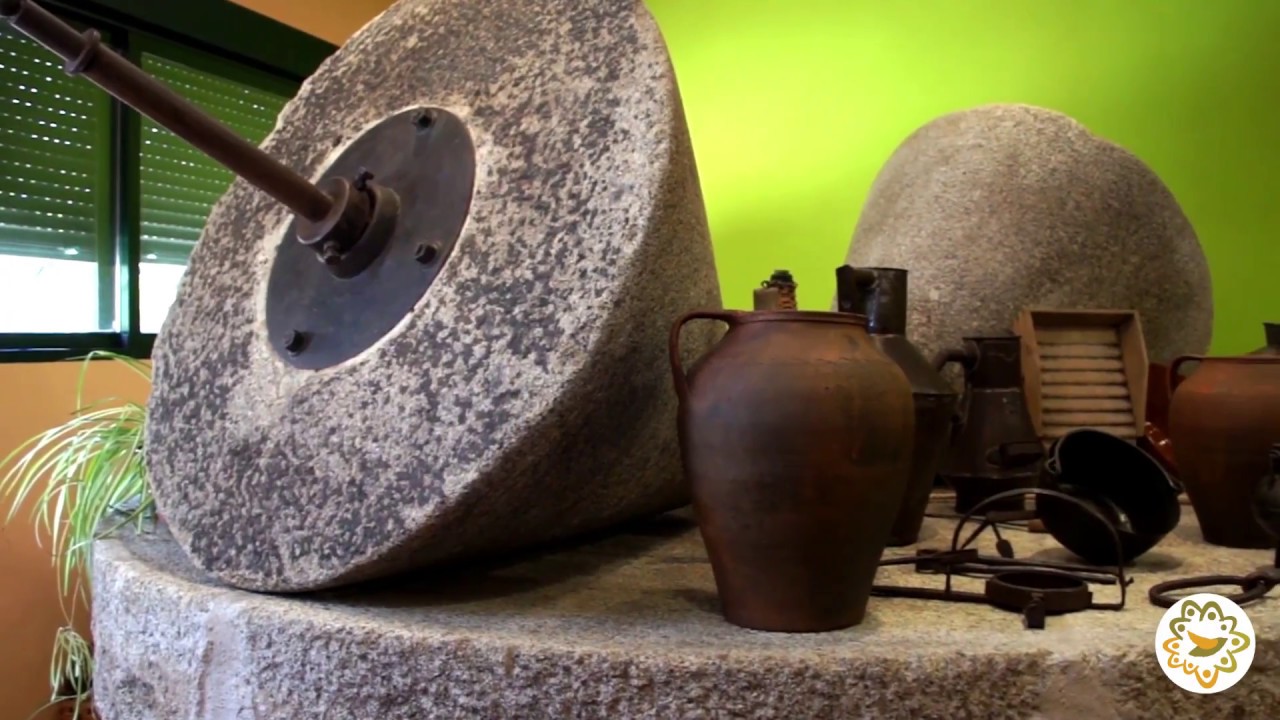 Aceites de Trujillo en Trujillo