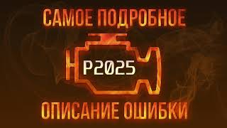 Error Code P2025: Vehicle Diagnostics and Repair