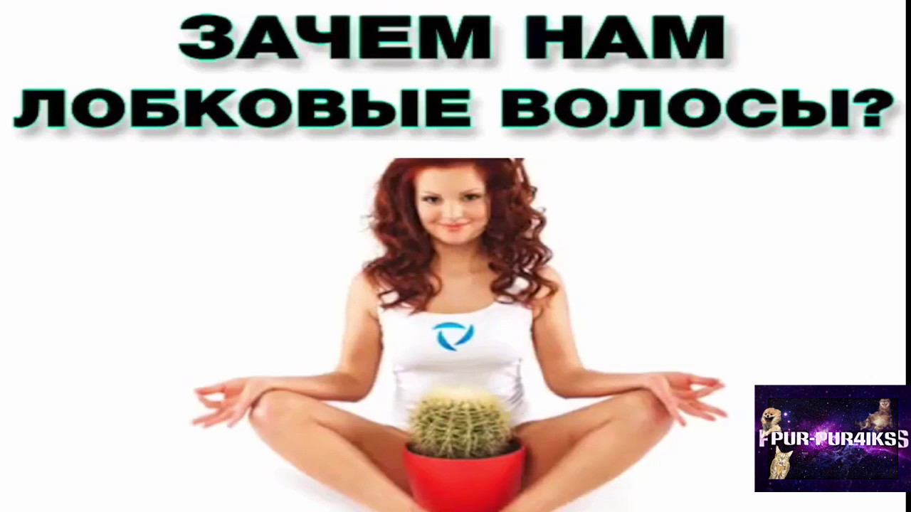 Волосы на лобке тещи фото Волосы на лобке тещи фото