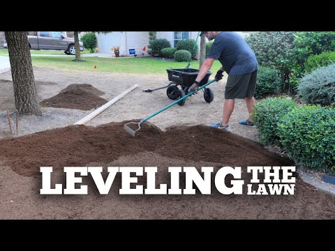 Video: How To Level The Ground Under The Lawn? How To Make A Flat Ground Cover Lawn With Grass In The Country With Your Own Hands? Features Of Site Leveling