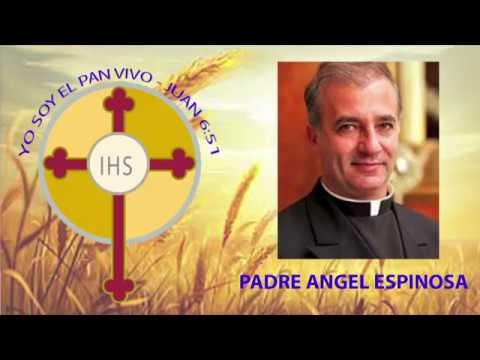 Padre Ángel Espinoza de los Monteros. Congreso Eucarístico de la Diócesis  de Charlotte. 2018 - YouTube