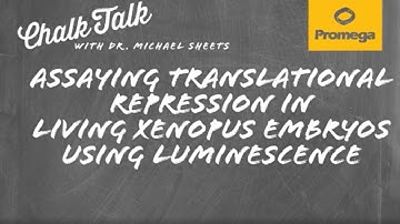 Assaying Translational Repression in Living Xenopus Embryos Using Luminescence