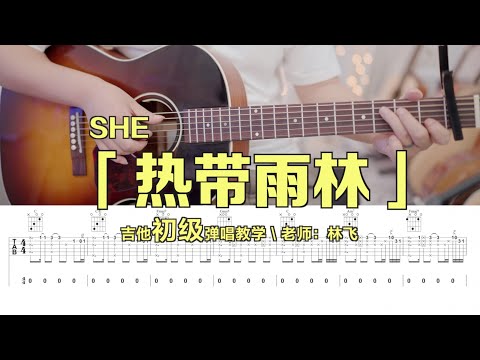 【喵了個藝】SHE《熱帶雨林》吉他彈唱教學教程 Guitar tutorial