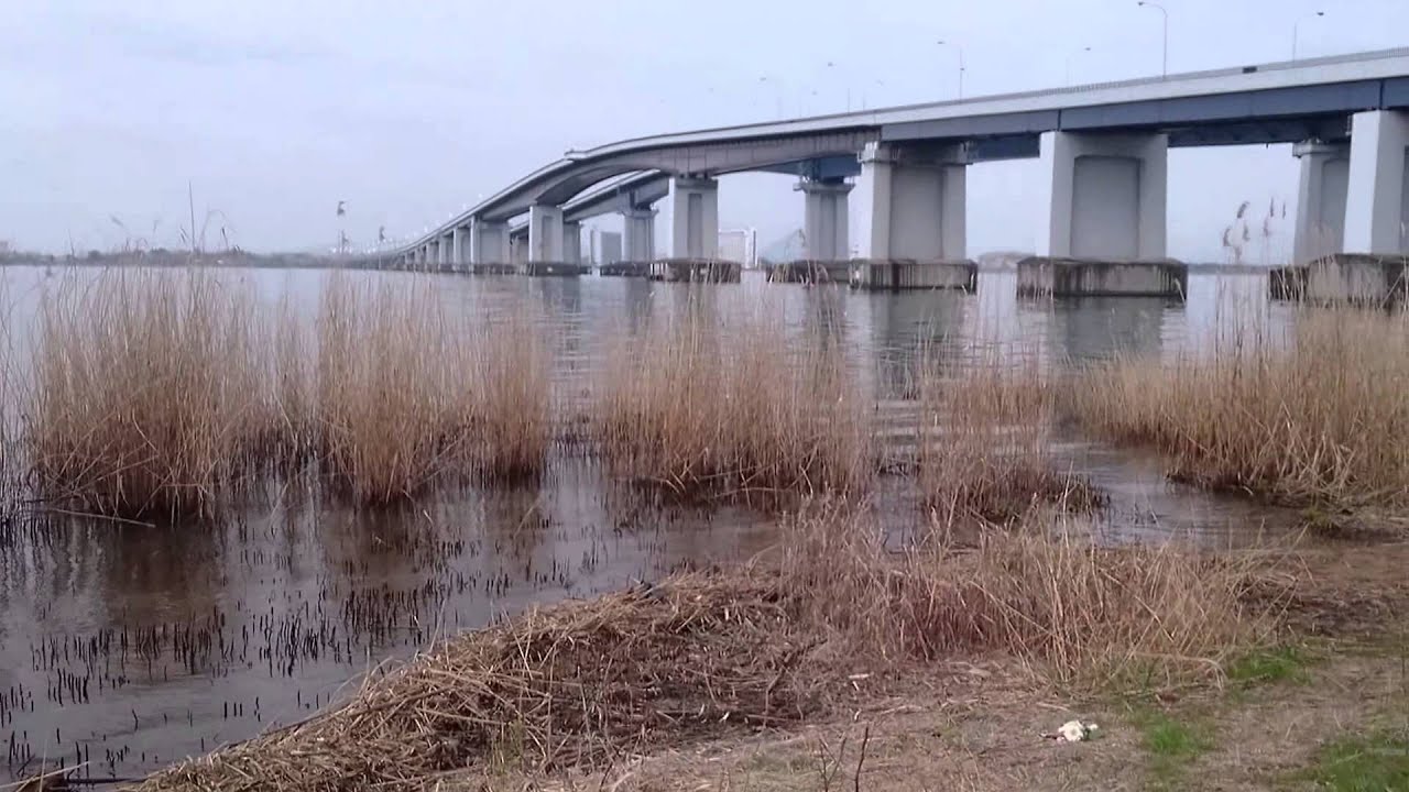 琵琶湖のバス釣りおかっぱりポイントは 時期と合わせてご紹介 暮らし の