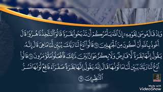 سوره البقره من ايه 62 الي 69 مكررة بصوت القارئ اسلام صبحي