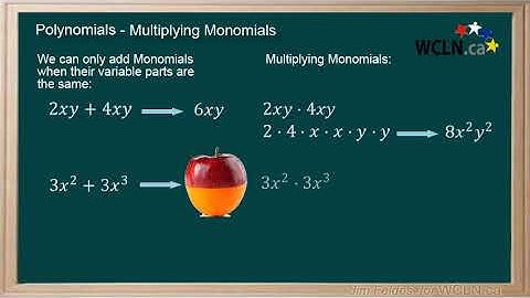WCLN - Polynomial Extra - Multiplying Monomials
