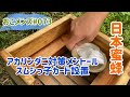 日本蜜蜂 アカリンダニ対策メントール投入　　スムシ対策 スムシっ子カード設置