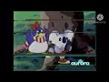 Adventures of the Little Koala is on aurora (April 9, 2021)