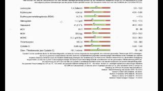 Labor Kleines Blutbild Allgemein