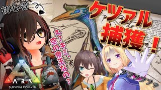ロボ子さん、Youtube、ライブ、live、ユーチューブ