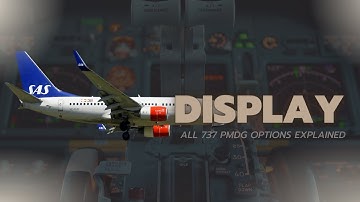 DISPLAYS  - ALL 737 PMDG OPTIONS EXPLAINED