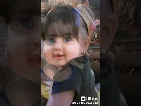 الشورق