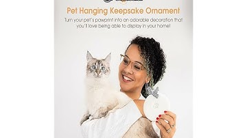 Pearhead Pet Paw Print Keepsake Ornament Kit Review: Is It Worth the Price?