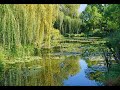 Dans un coin du jardin   musique  mario vilas