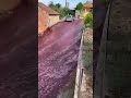 River of wine runs through portuguese town