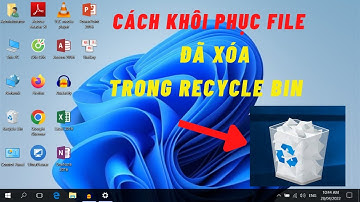 Cách lấy lại File đã xóa trong Thùng Rác (Recycle Bin) - Cho người mới bắt đầu