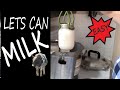 Home Canning Milk. Made with Love for Later