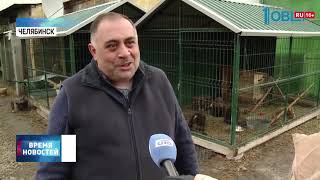 Ветеринар Карен Даллакян приютил трёх медвежат