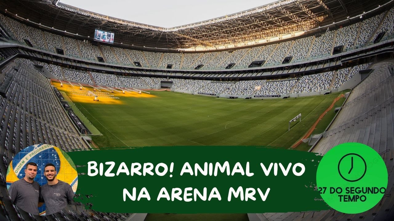 Jogadores exaltam dia histórico no primeiro jogo na Arena MRV – Clube  Atlético Mineiro