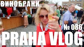 Чехия, Винобрани в городе Мнельник (Mělník)! Бурчак бурчит! :) Praha Vlog 086