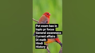 Thumbnail of upsssc pet exam #shortvideo