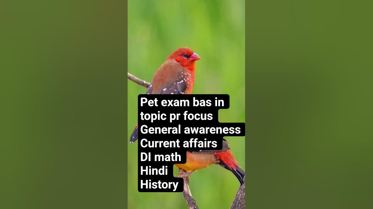 upsssc pet exam #shortvideo upsssc pet exam #shortvideo