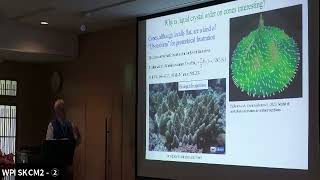 Dr David Nelson (Havard U) Defect emission and absorption for liquid crystals on cones screenshot 2