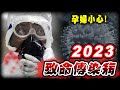 2023年致命傳染病！無有效疫苗！孕婦注意！😱｜CHO九大致命傳染病中集# 類鼻疽、剛果出血熱、拉薩病毒篇｜😎墨鏡哥主頻道😎