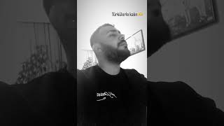 Engin Taylan - Mutlu Musun - Engin Nurşani̇ - Anisina