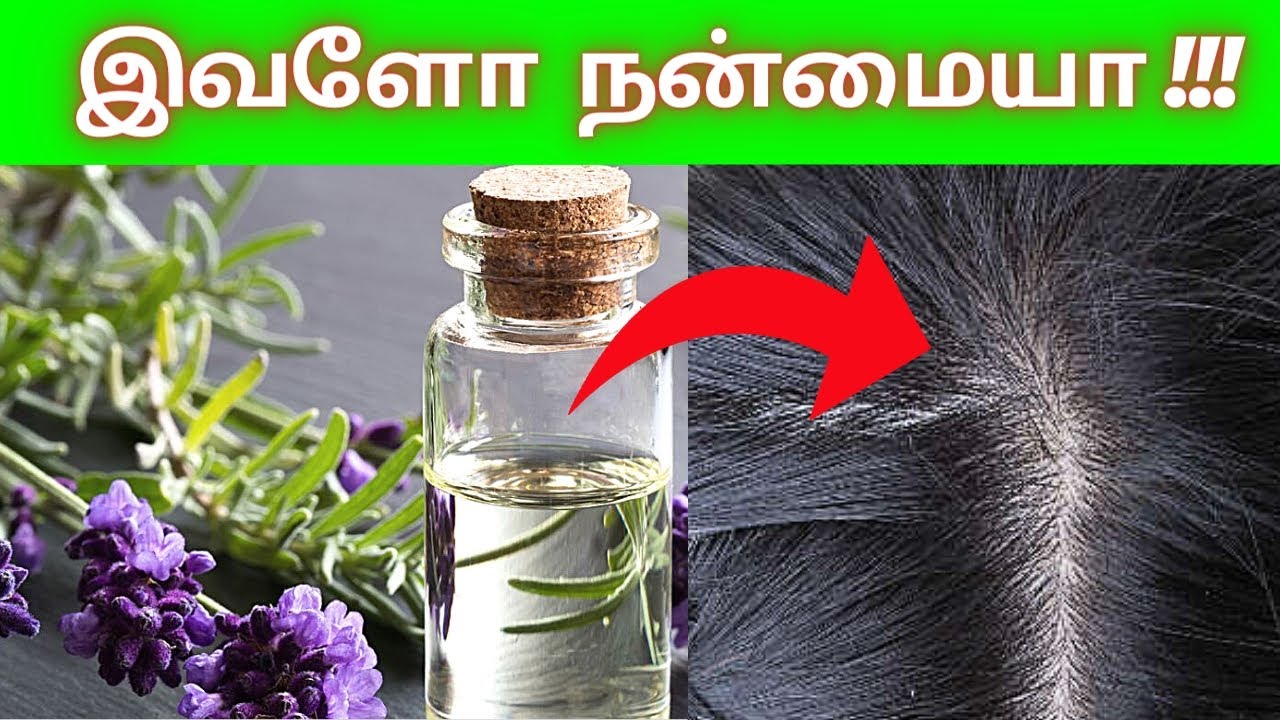 5 BENEFITS 😍 Lavender oil for Hair growth Tamil How to Use 2023