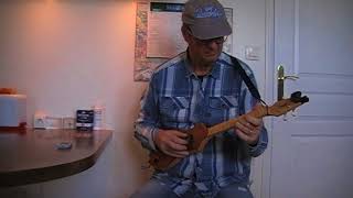 Video thumbnail of "Pisces Brothers - Mike Love Cover - Seagull merlin - M4"