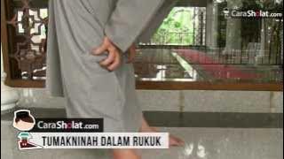 24. Tumakninah in Rukuk - Video on How to Pray According to the Prophet