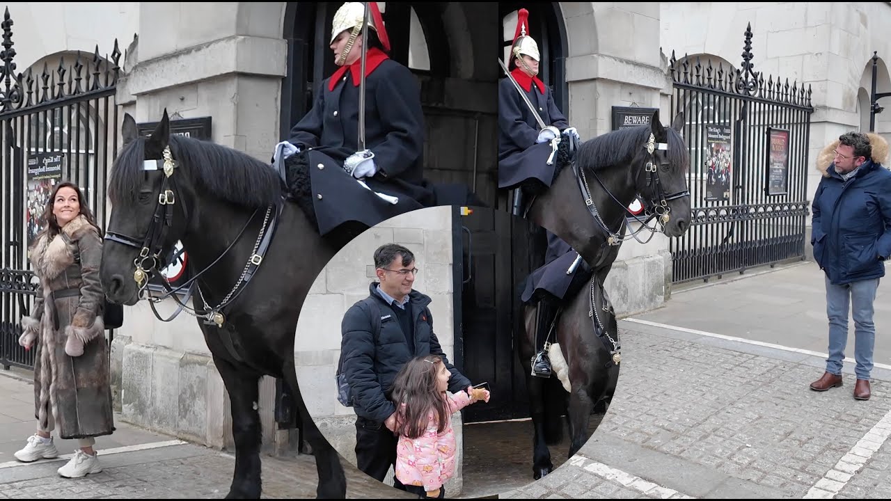 No Boundaries: He STEPS In he Box to Get a Closer Look at the Horse. OUT OF THE BOX.