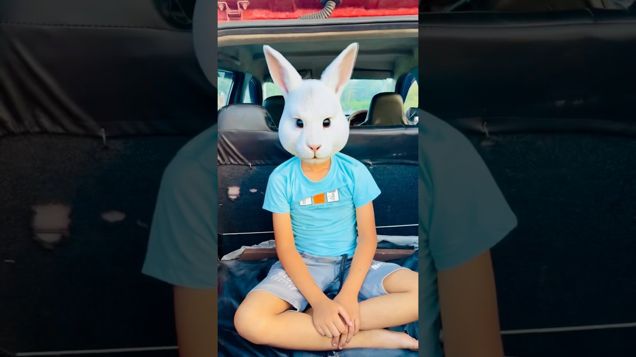 Rabbit ma Pgl bana diya #comedy #comedyshorts #youtubeshorts #shortsfeed #shortvideos #funny