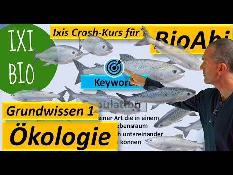 Ökologie - Grundwissen und Schlüsselbegriffe (Keywords) - Teil 1 - Biologie Abitur