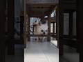 19歳のチワワ、ロン。大変なことも多いのだ。#チワワ #チワワちゃん #犬のいる生活 #シニア犬 #shorts