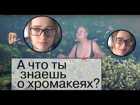 Видео: А что вы знаете о возможностях хромакея?