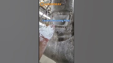 Cassava Processing Machine