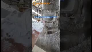 Cassava Processing Machine