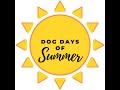 2022 Dog Days of Summer at Straydog