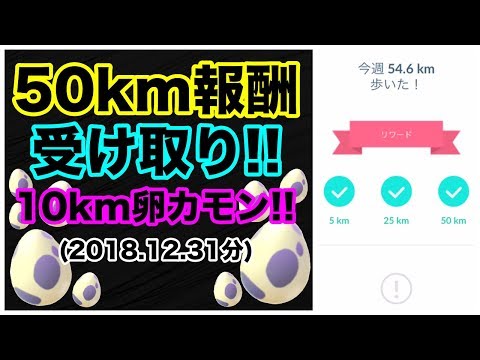 みぃちゃん研究所 みぃちゃん研究所