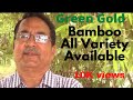 Bamboo Farming 53 Variety in india Shri Subhash Bhatiya