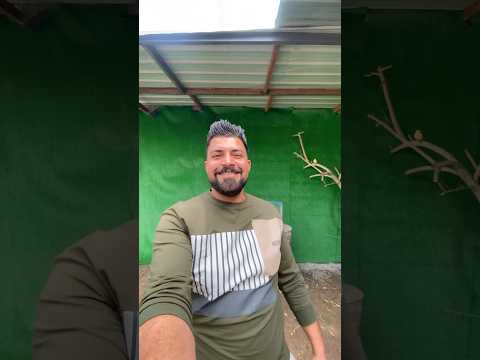 محميه الطبيعيه 