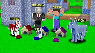 SlenderMan - CÙNG VỚI NOOB ĐI MUA CHÓ HUSKY PUG BULL VỀ LÀM THÚ NUÔI TẶNG NOOB TRONG MINECRAFT