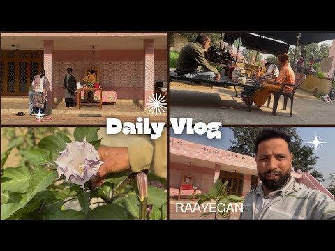Today S Vlog Marh Ashram Visit Brought Dhatura Plant