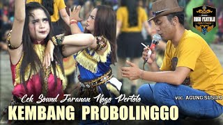 yang lagi viral !! cek sound lagu kembang probolinggo versi jaranan nogo pertolo